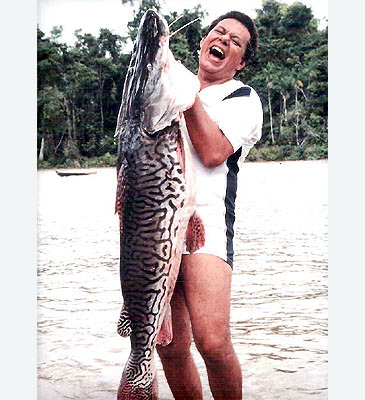 Record photograph for Pseudoplatystoma tigrinum